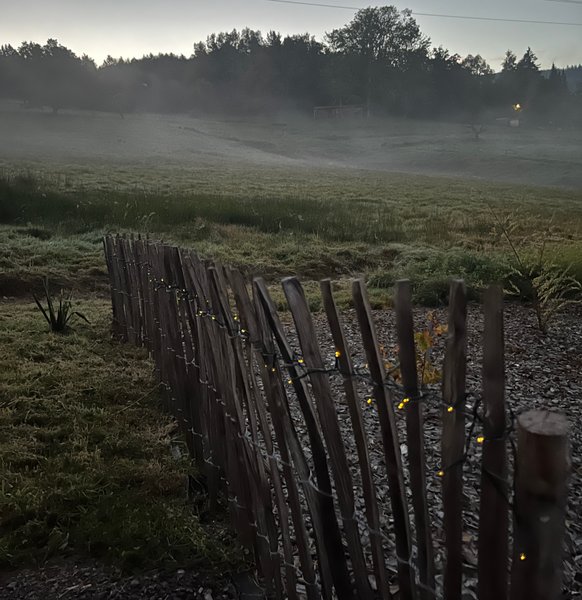 Domaine AbracadaRoom : Nordic Lodge Vosges - Image 3