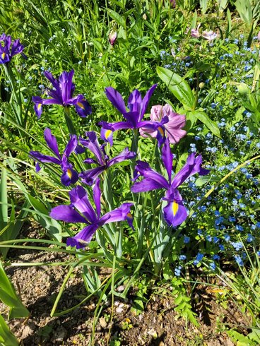 Domaine AbracadaRoom : ROULOTTE REVE DE BOHEME - Image 29