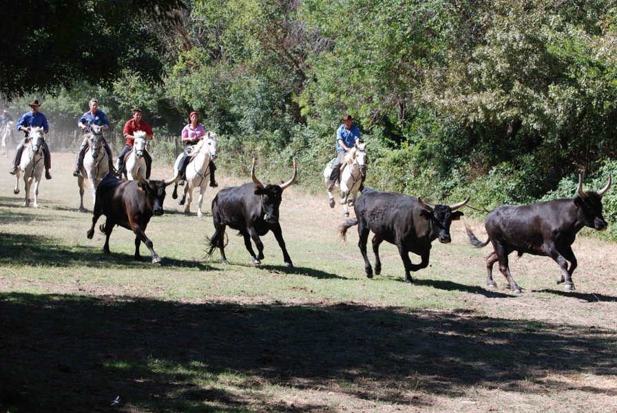 Domaine AbracadaRoom : Le Mazet de Jean - Image 5