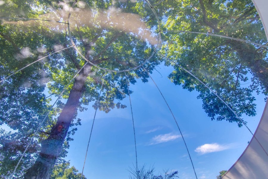 Hébergement AbracadaRoom : Bulle La Grande Ourse - Image 5