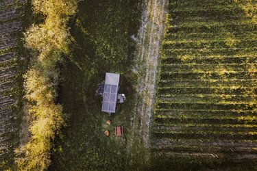 Parcel Tiny House - dans les vignes de Saint-Émilion  proche Bordeaux à Saint-Émilion (1)