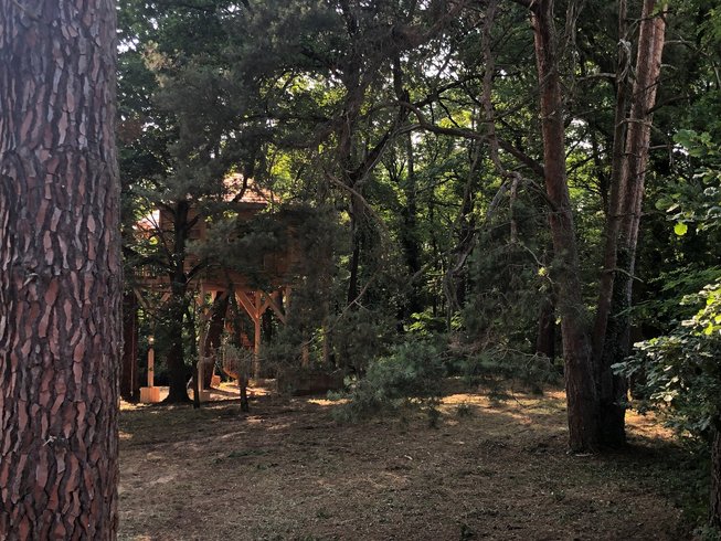 Domaine AbracadaRoom : Le Jardin Des Cabanes - Image 5