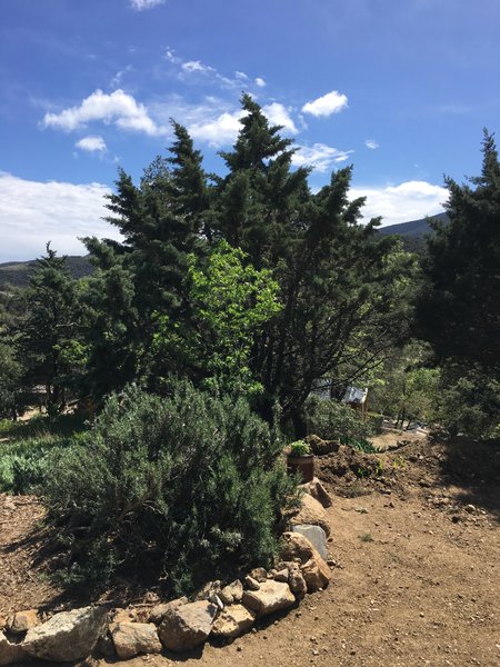 Hébergement AbracadaRoom : La Yourte Bambou - Image 9