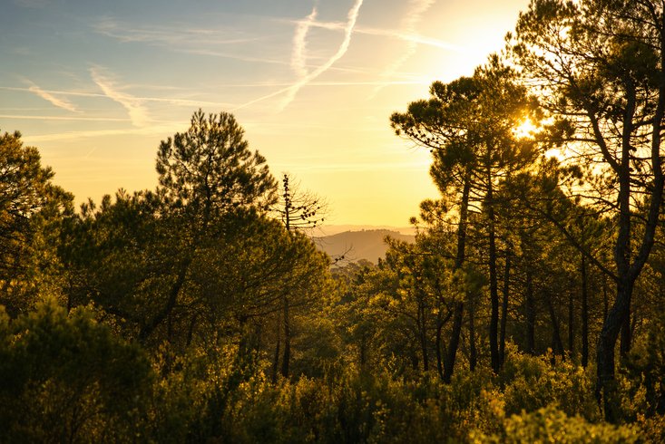 Hébergement AbracadaRoom : Homnest -Mélodie Provençale en Sainte-Baume - Image 8