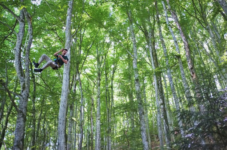 Hébergement AbracadaRoom : Nuit perchée en hamac n°2 - Image 12