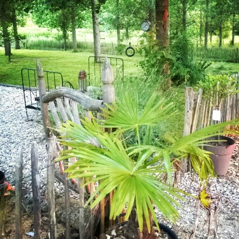 Domaine AbracadaRoom : Yourtes de Gascogne - Image 3