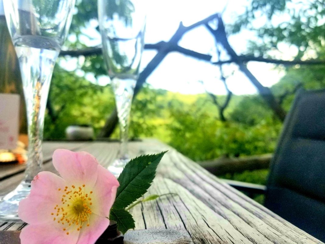 Sweet Dream & spa avec vue rivière à Réquista (16)