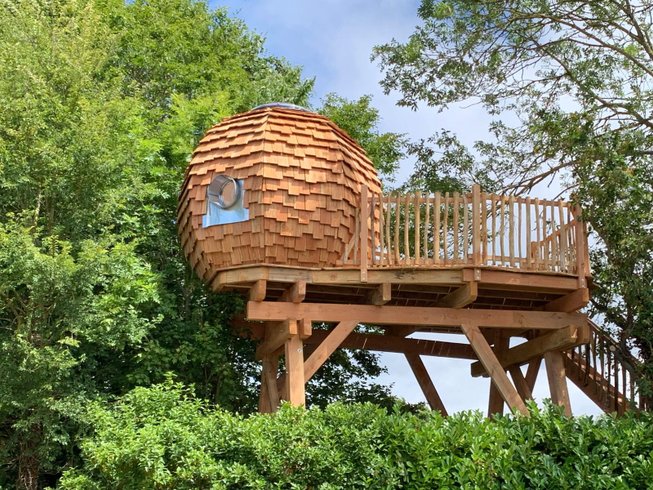 Hébergement AbracadaRoom : Nid de Pie - Image 1