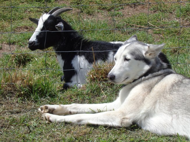 Domaine AbracadaRoom : Le Jardin de Kym - Image 2