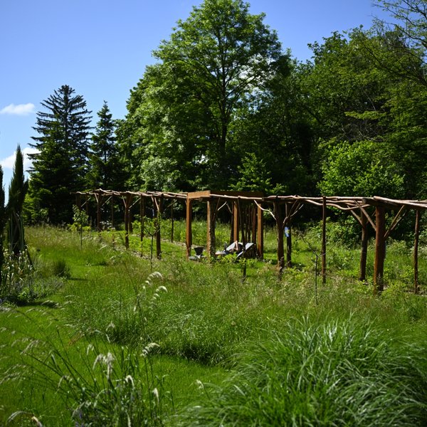 Domaine AbracadaRoom : Ô Pays des bois - Image 16