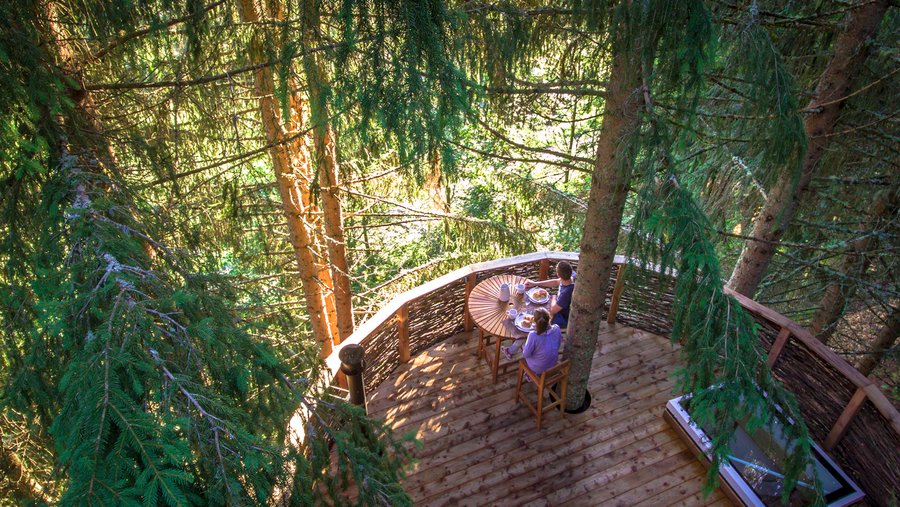 Hébergement AbracadaRoom : Cabane Nid - Image 1