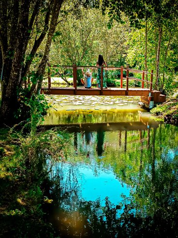 Hébergement AbracadaRoom : La Cabane du Pêcheur, chalet en A au bord d'un étang de pêche (découverte) à Sarlat - Image 22