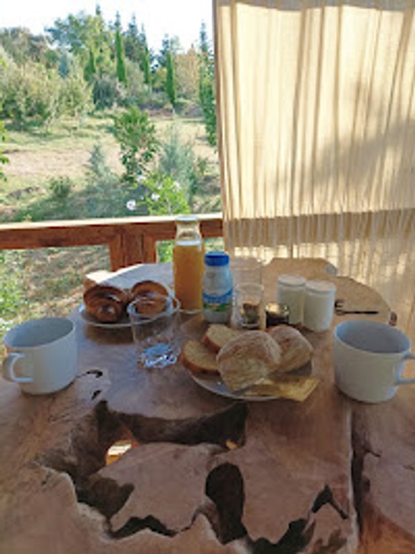 Cabane Miel et Coton -  spa privatif à Villarzel Du Razès (9)