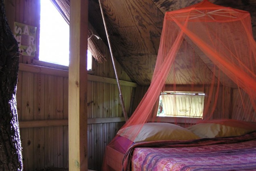 La Cabane perchée Baman — photo 2