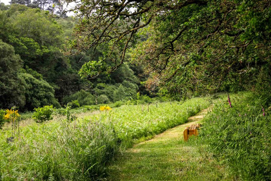 Domaine AbracadaRoom : FORET TOTEM - Image 16