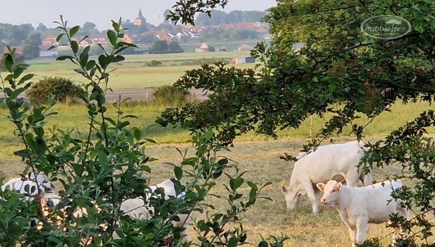 Domaine AbracadaRoom : Ecolieu B & Bubble Drincham - Image 14