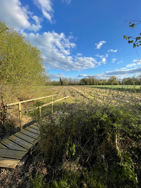 Hébergement AbracadaRoom : Barrel insolite dans le vignoble - Image 20