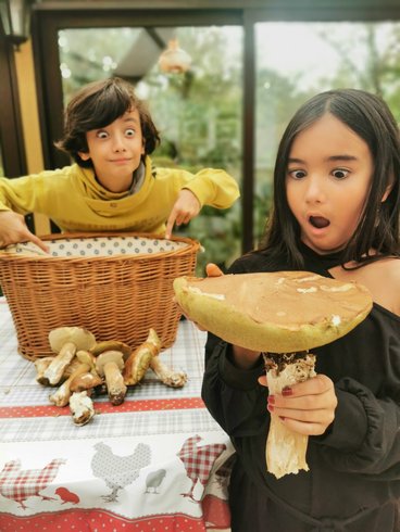 Hébergement AbracadaRoom : La Cabane du Héron, lodge sur pilotis, étang, nature, biodiversité - Image 26