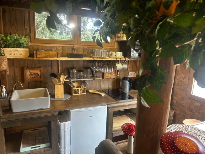 Hébergement AbracadaRoom : La Jungle Room de Paulette - Image 5