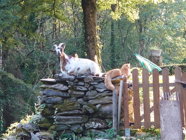 Domaine AbracadaRoom : Terra Bosca - Image 8