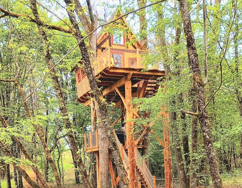 Domaine AbracadaRoom : Nid'en'Ô Les Cabanes dans les Arbres - Image 18