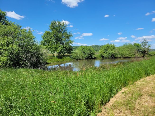 Domaine AbracadaRoom : Camping les Hirondelles - Image 8