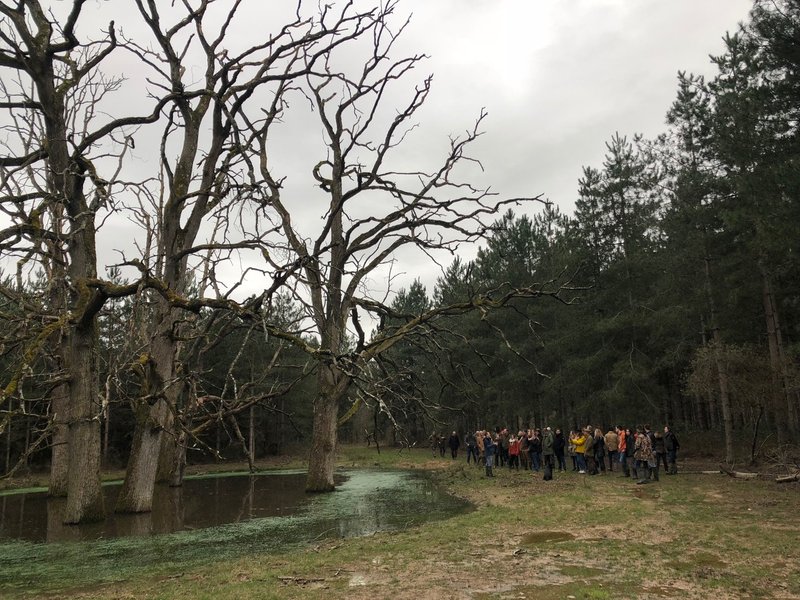 Domaine AbracadaRoom : Loire Valley Lodges - Hôtel - Image 34