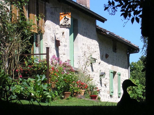 Domaine AbracadaRoom : Les Ânes de Vassivière - Image 3