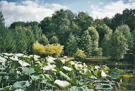 Domaine AbracadaRoom : Le relais des sorciers - Image 28