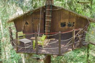 Cabane dans les arbres Ille-et-Vilaine