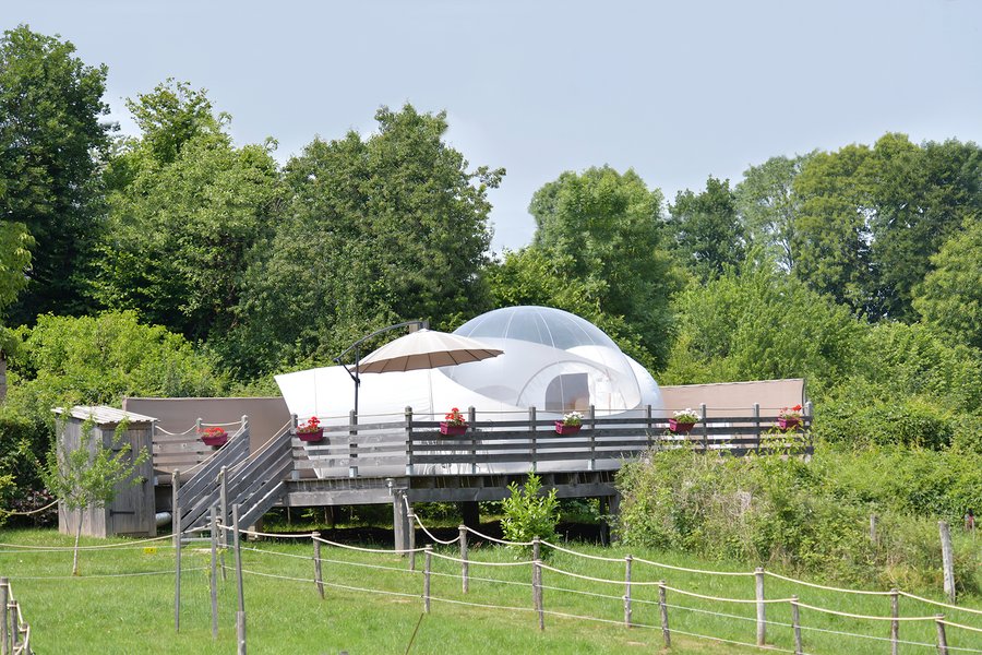 Hébergement AbracadaRoom : Bulle Ecureuil - Image 3