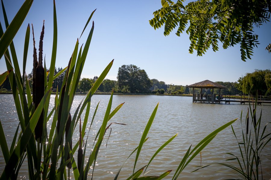 Domaine AbracadaRoom : La Vallée des Lapins - Image 5