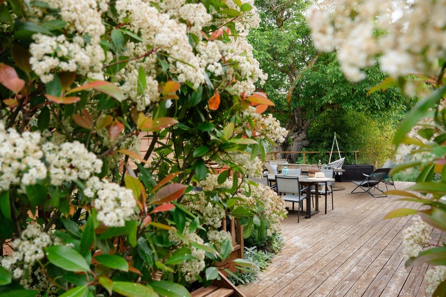 Hébergement AbracadaRoom : Roulotte la Clé du Luberon & SPA - Image 31