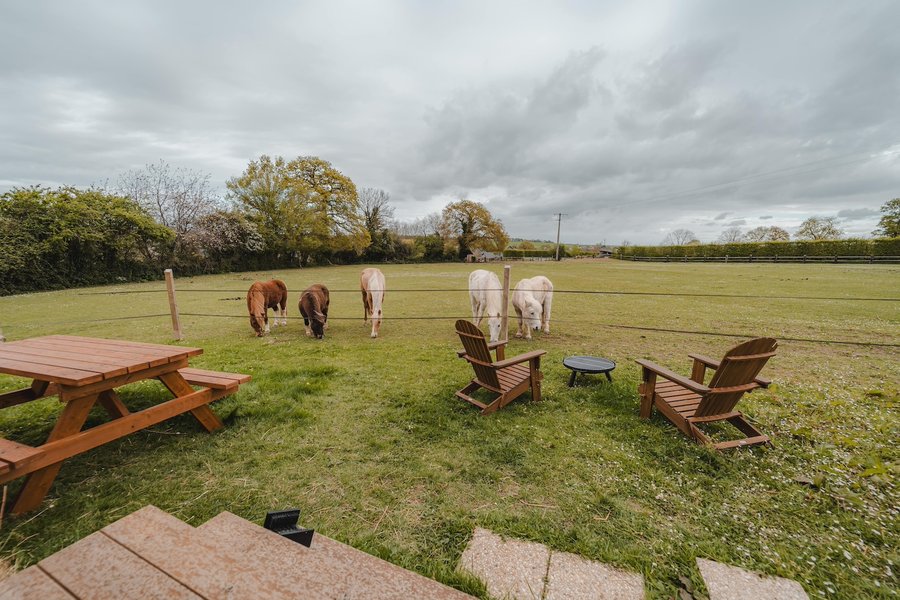 Domaine AbracadaRoom : Parcel Tiny House - proche Mont-Saint-Michel - Image 11