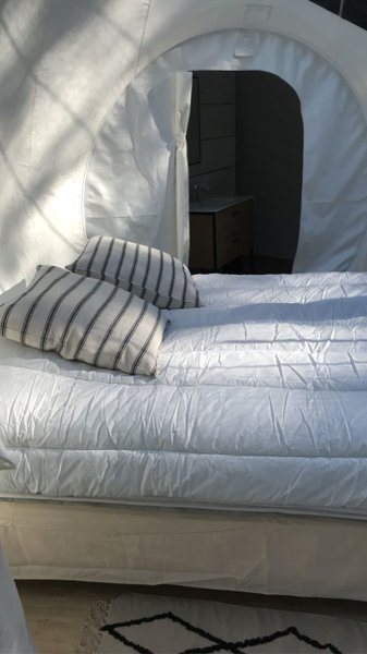 Hébergement AbracadaRoom : Bulle du Séquoia - Image 2