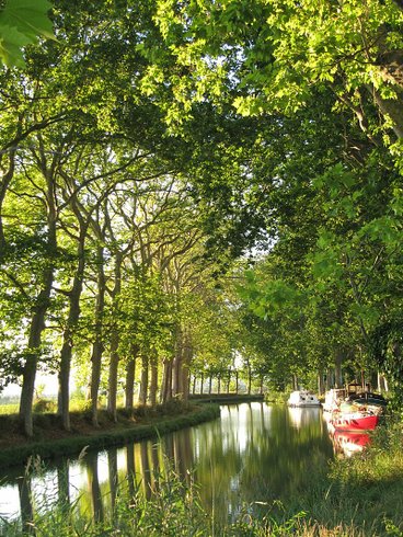 Domaine AbracadaRoom : Ô cocon du Lauragais - Image 13