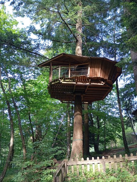 Hébergement AbracadaRoom : Cabane Hibou - Image 1