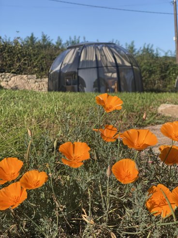 Domaine AbracadaRoom : La bougie perlée - Image 2