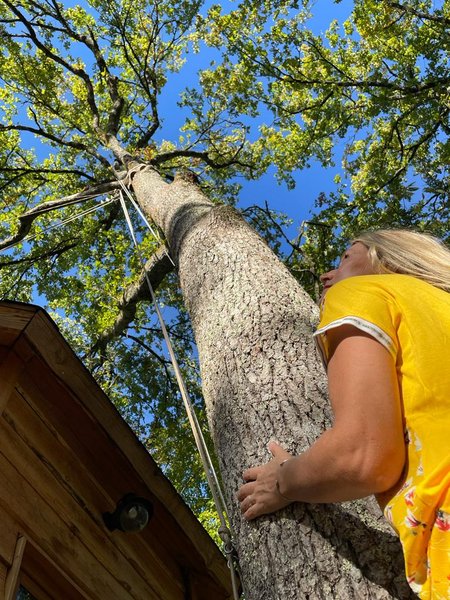 Domaine AbracadaRoom : Nid'en'Ô Les Cabanes dans les Arbres - Image 23