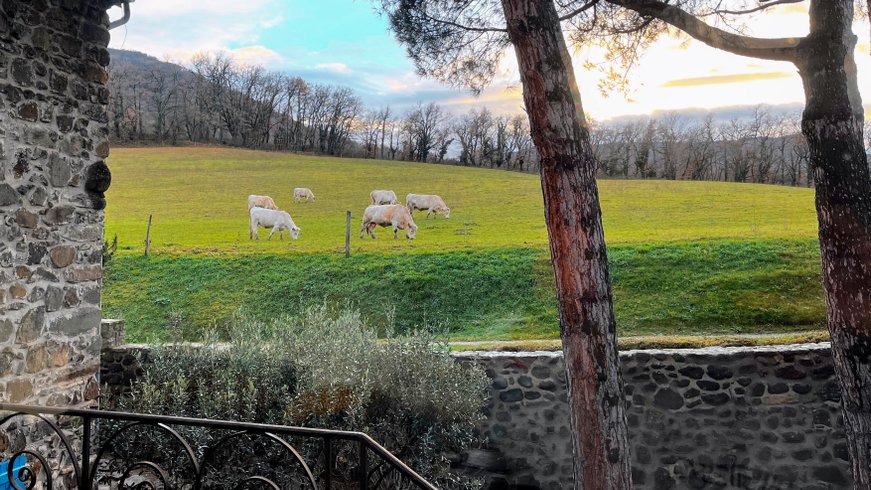 Domaine AbracadaRoom : Le Petit Moras - Image 5