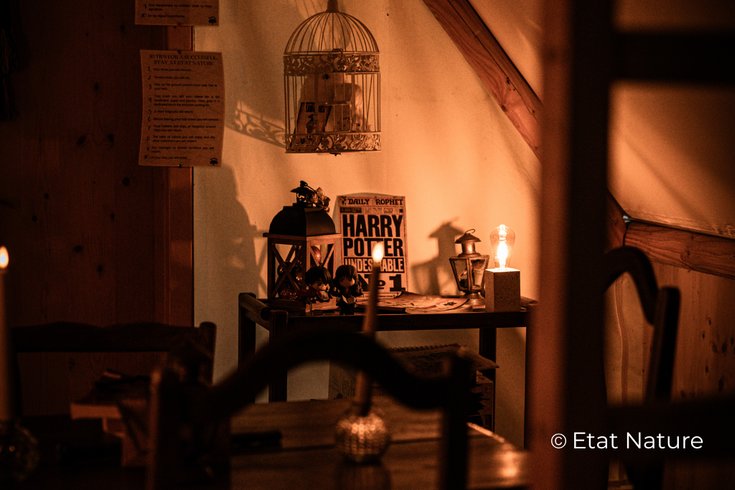 Hébergement AbracadaRoom : Le gîte Harry Potter - Image 3