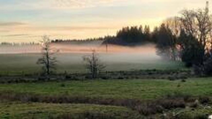 Domaine AbracadaRoom : Roulotte du Jura Vert - Image 5