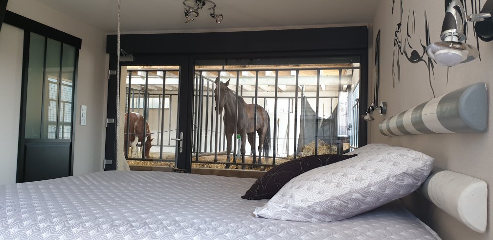 Domaine AbracadaRoom : Equi-lodges - Image 5