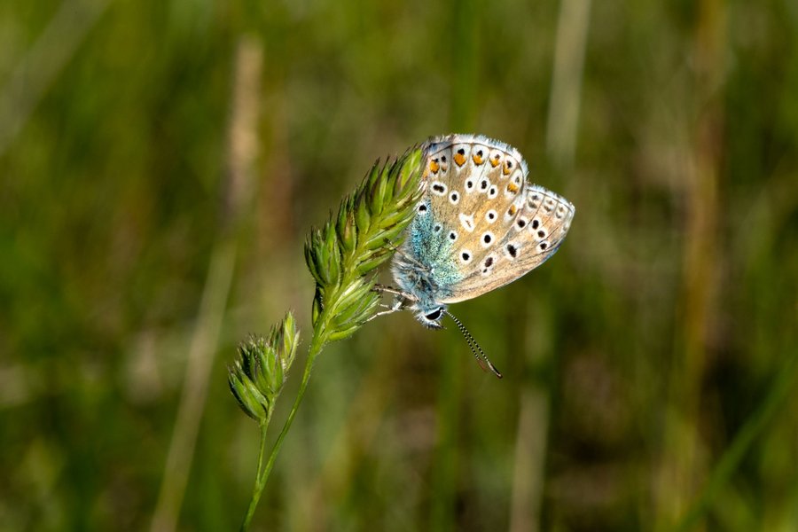 Domaine AbracadaRoom : Le Camp - Image 21