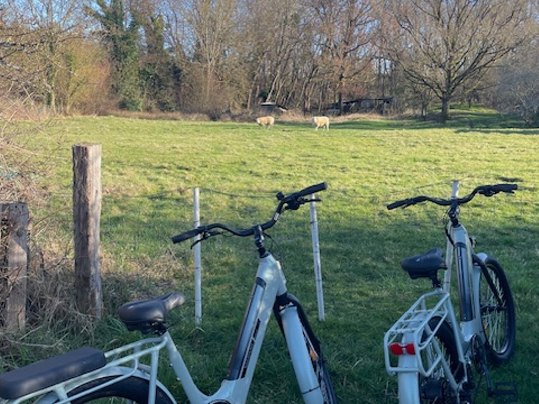 Lodge haut de gamme & bain nordique privatif au bord du Canal de Briare à 1h15 de Paris à Montcresson (46)