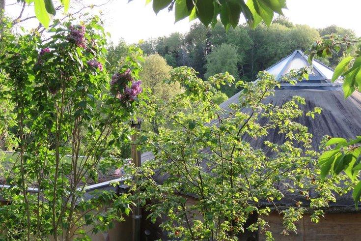 Hébergement AbracadaRoom : Yourte contemporaine au coeur de la foret - Image 16