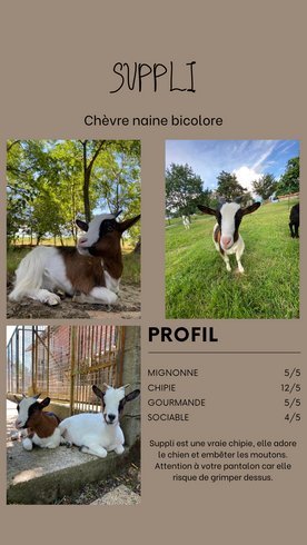 Hébergement AbracadaRoom : Dans ma Bulle & Spa - Image 31