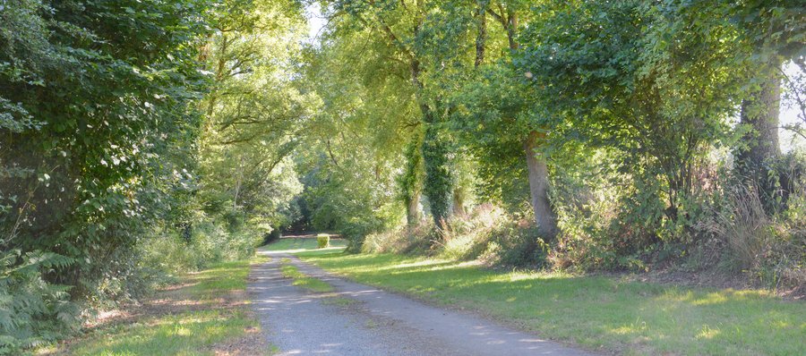 Domaine AbracadaRoom : Domaine des Vaulx - Image 18