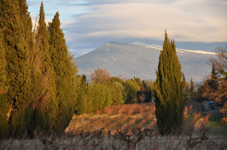 Hébergement AbracadaRoom : Le Tonneau du Nid'Oiselet - au coeur d'une ferme en Provence - Image 18