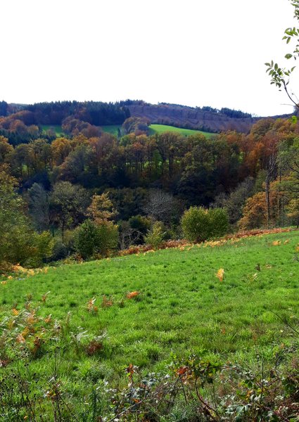 Domaine AbracadaRoom : Le Domaine Insolite à Marie - Image 5